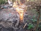 Bild-Nr. 741 F_Erkundung